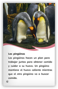 Aves inteligentes, Aves asombrosas from Fábulas y el Mundo Real