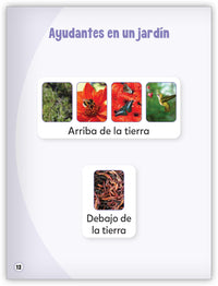 Ayudantes del jardín