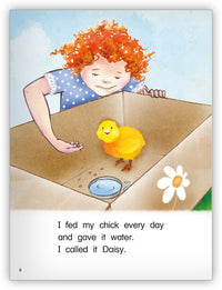 Baby Chick from Kaleidoscope Collection