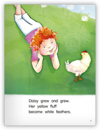 Baby Chick from Kaleidoscope Collection