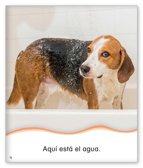Bañar al perro