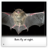 Bat Leveled Book