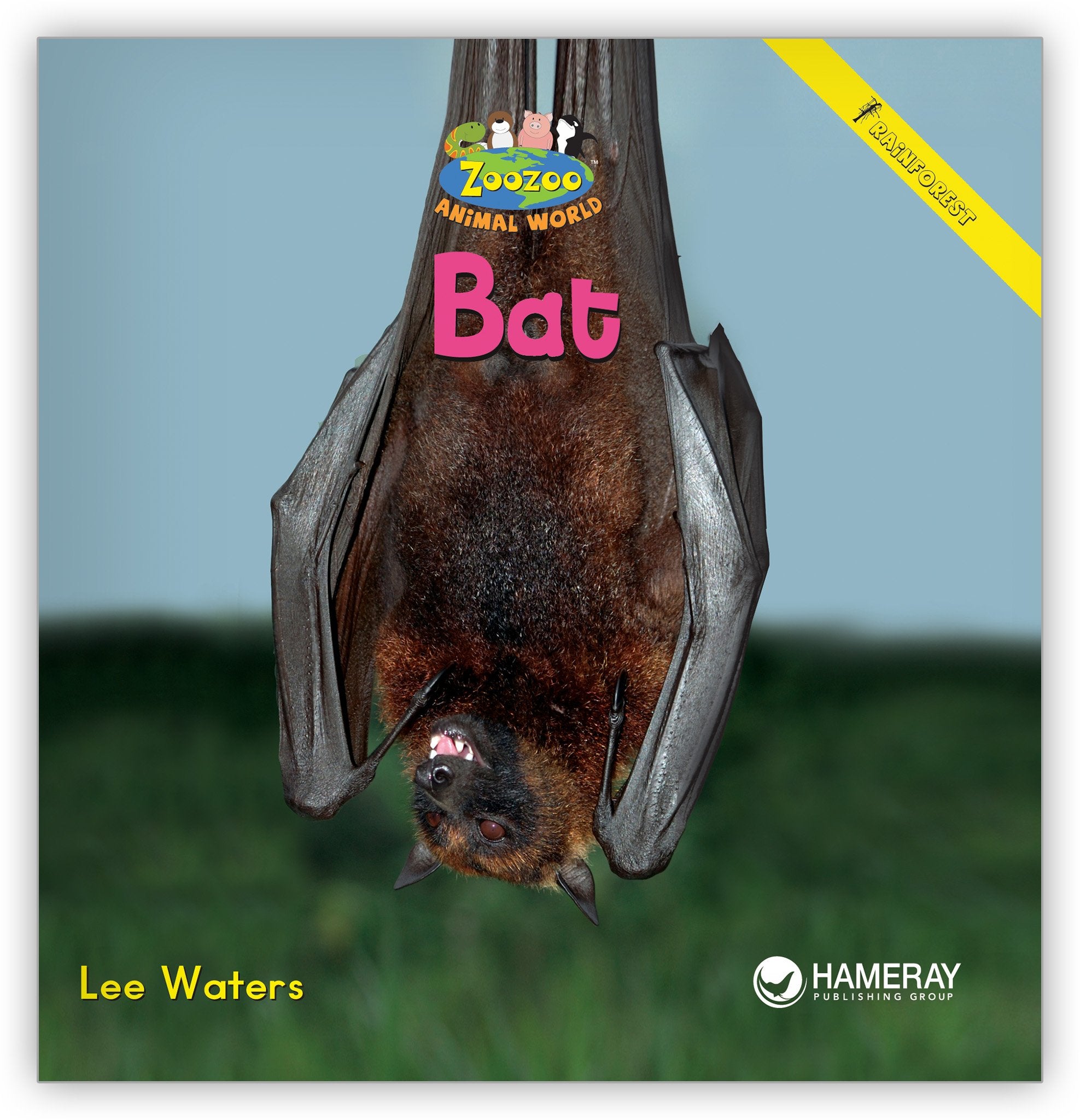 Bat from Zoozoo Animal World