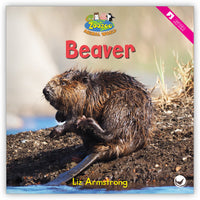 Beaver Leveled Book