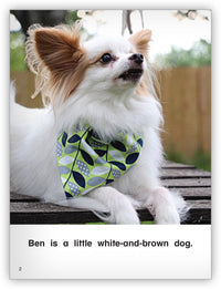 Ben and Ruby from Kaleidoscope Collection