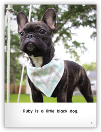 Ben and Ruby from Kaleidoscope Collection