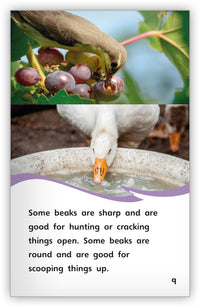 Birds Leveled Book