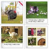 Birds Theme Guided Reading Set