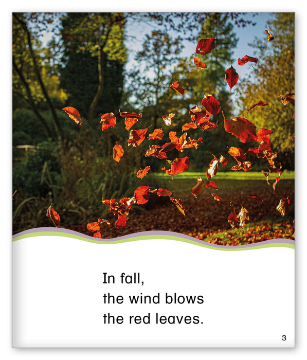 Blowing in the Wind from Kid Lit