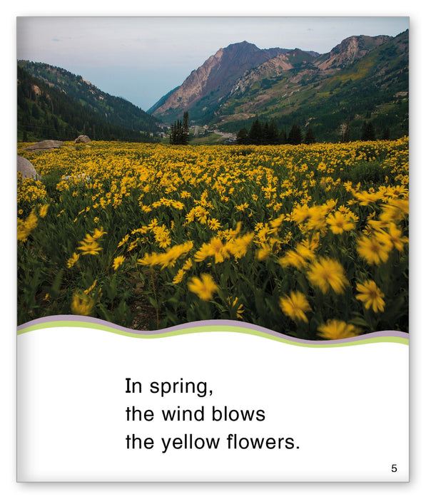 Blowing in the Wind from Kid Lit