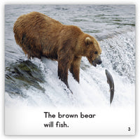 Brown Bear from Zoozoo Animal World