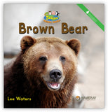 Brown Bear from Zoozoo Animal World