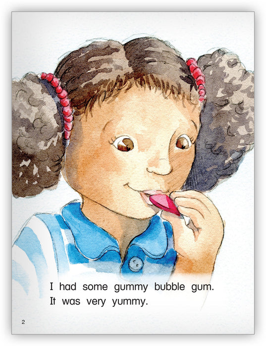 Bubble Gum Big Book
