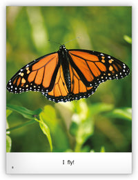 Butterfly Big Book from Kaleidoscope Collection