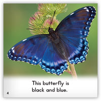 Butterfly from Zoozoo Animal World
