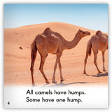 Camel Big Book