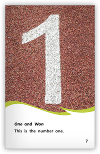 Can You See the Sea? Words that Sound Alike Leveled Book