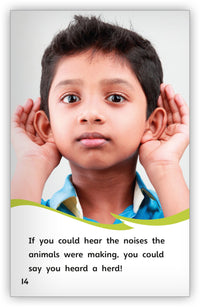 Can You See the Sea? Words that Sound Alike Leveled Book