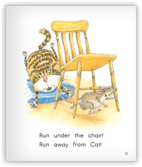 Cat and Rat from Joy Cowley Early Birds