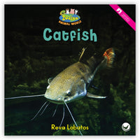 Catfish from Zoozoo Animal World