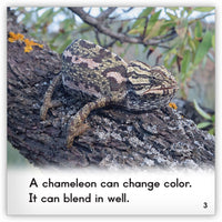 Chameleon Leveled Book