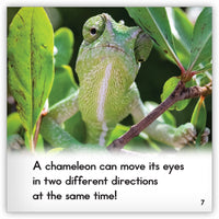 Chameleon Leveled Book