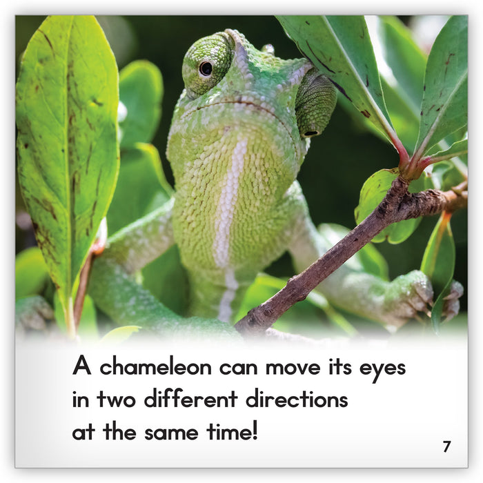 Chameleon Leveled Book