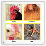 Chicken from Zoozoo Animal World