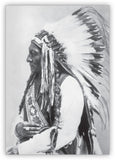 Chief Sitting Bull from Hameray Biography Series