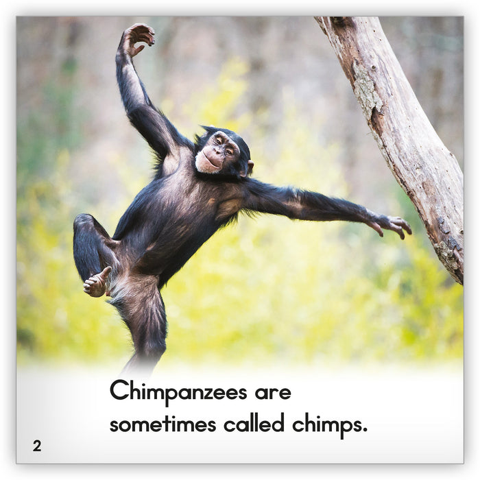 Chimpanzee Leveled Book