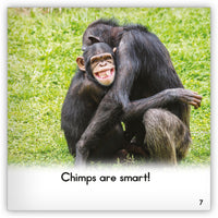 Chimpanzee Leveled Book