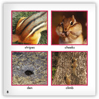 Chipmunk from Zoozoo Animal World