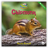 Chipmunk from Zoozoo Animal World