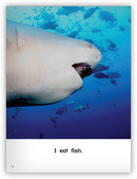 Chomp! from Kaleidoscope Collection