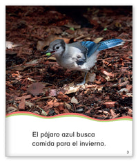 Comida para el invierno