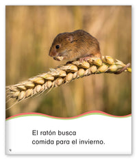 Comida para el invierno