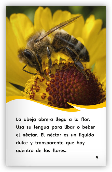 Cómo hacen la miel las abejas from Fábulas y el Mundo Real