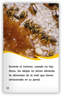 Cómo hacen la miel las abejas from Fábulas y el Mundo Real