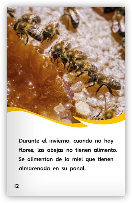 Cómo hacen la miel las abejas from Fábulas y el Mundo Real
