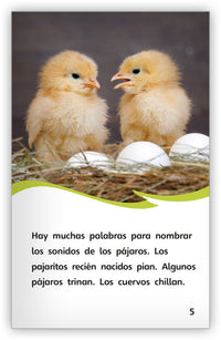 ¿Cómo se comunican los pájaros? from Fábulas y el Mundo Real