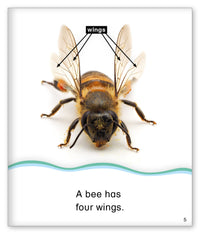 Count with Bees from Kid Lit