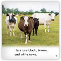 Cow from Zoozoo Animal World