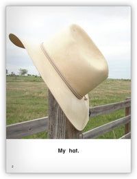 Cowboy from Kaleidoscope Collection