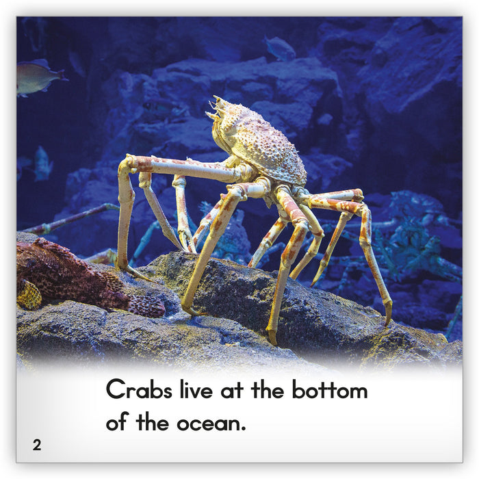 Crab Big Book
