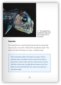 Creepy Sea Creatures from Underwater Encounters