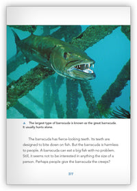 Creepy Sea Creatures from Underwater Encounters