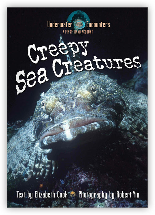 Creepy Sea Creatures from Underwater Encounters
