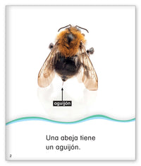 Cuenta con las abejas