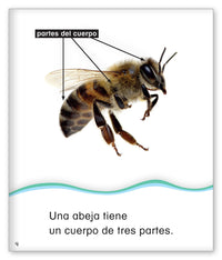 Cuenta con las abejas