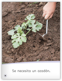 Cultivando un jardín